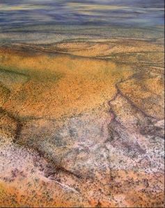 "Serengeti Aerial"