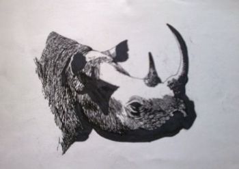 "White Rhino Portrait"