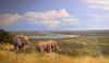 "Olifants River Honeymoon"