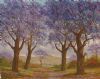 "Jacaranda Trees South Africa Landscape"