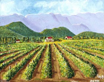 "Vineyard, Late Afternoon"