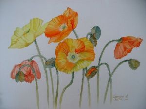 "Poppies 1"