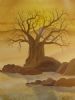 "Little Baobab"