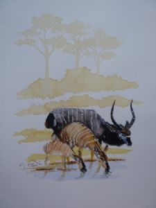 "iNyala at Waterhole"