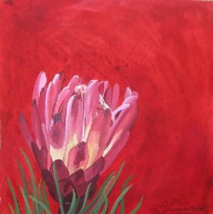 "Fynbos 83, Protea Aristata"