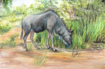 "Baby Wildebeest"