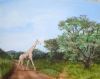 "Giraffe Crossing"