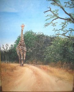 "Giraffe walking"