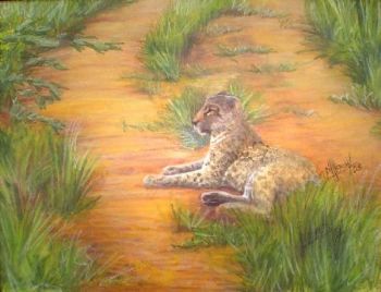 "Young Cheetah 2"