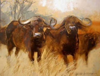 "Buffaloes"