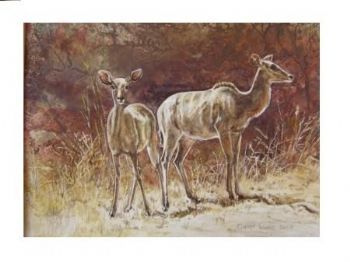 "Kudu Cow and calf"