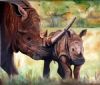 "Rhino and Calf"