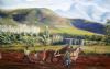 "Ploughing in Herbertsdale SOLD"