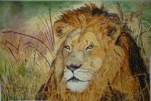 "King of the bushveld"