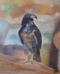 "Bird of Prey"