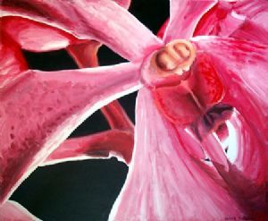 "Pink Orchid Close-Up"