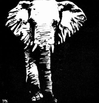 "Big5 Elephant"