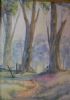 "Bluegum Treasures"