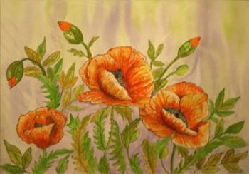 "Orange flowers"