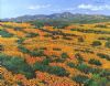 "Floral Abundance"
