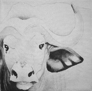 "Buffalo"