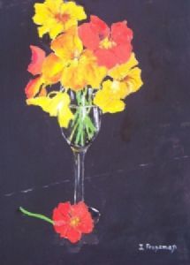 "Nasturtium Sunshine"
