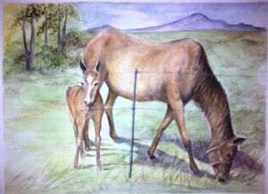 "Mare and Filly"