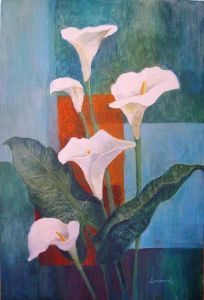 "White Arums"