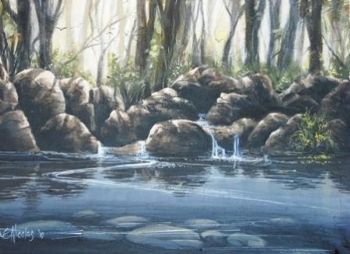 "Forest and Fly Fishing Pool"