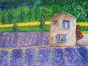 "Lavender Field in Provance"