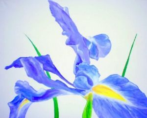 "Purple Iris"