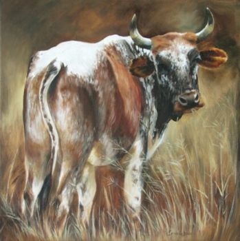 "Nguni 43"