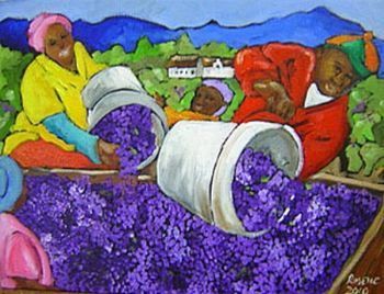 "Grape harvest 2"