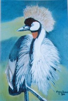 "Crowned Crane"