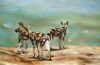 "Painted Dogs"