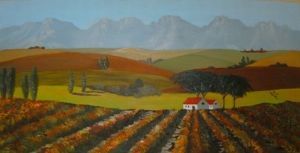 "Cape Vineyards"
