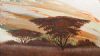 "Bushveld Sunset"