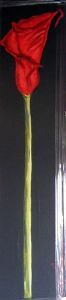 "Red Arum lilly"