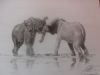 "Elephants"