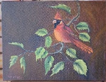 "Red Cardinal"