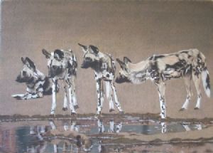 "Wild Dogs with Water"