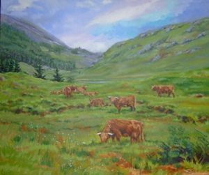 "Highland Cattle"