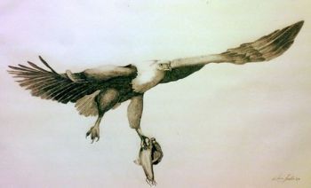 "Flight of the Fish Eagle"