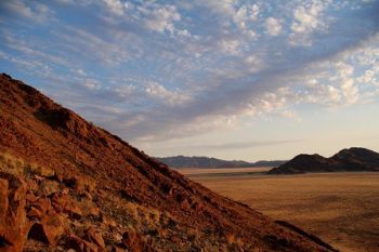 "Sparse Beauty"