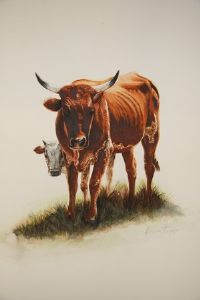 "Nguni Cow and Calf"