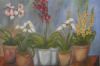 "Potted Fun-flower Garden"