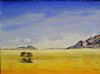"Desert Landscape"