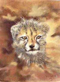 "Cheetah Cub I"