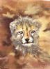 "Cheetah Cub I"
