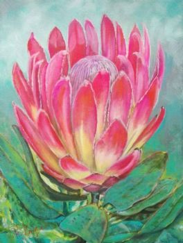 "Protea in the Mountains"